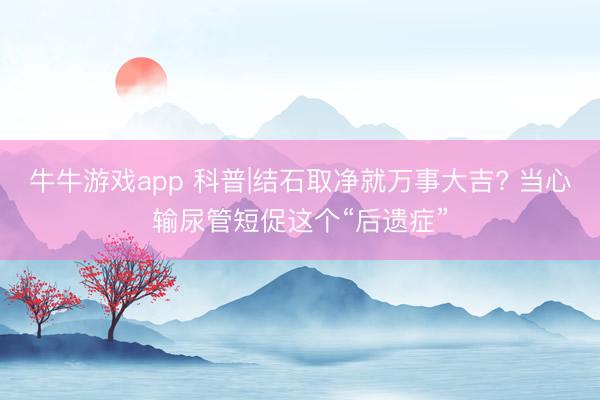 牛牛游戏app 科普|结石取净就万事大吉? 当心输尿管短促这个“后遗症”