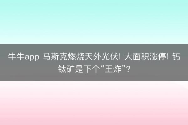 牛牛app 马斯克燃烧天外光伏! 大面积涨停! 钙钛矿是下个“王炸”?