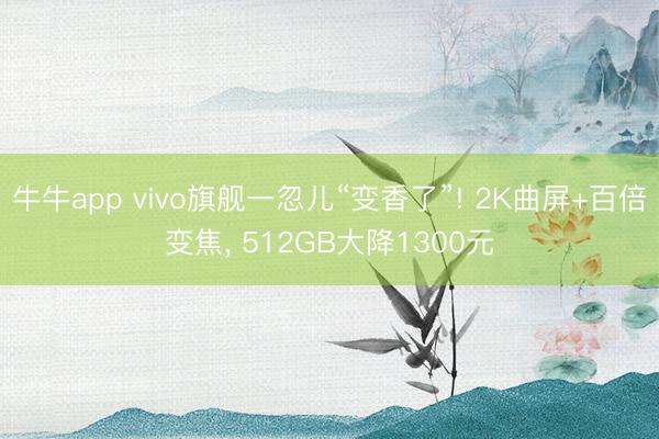 牛牛app vivo旗舰一忽儿“变香了”! 2K曲屏+百倍变焦, 512GB大降1300元