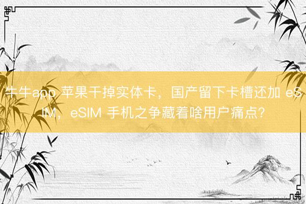 牛牛app 苹果干掉实体卡，国产留下卡槽还加 eSIM，eSIM 手机之争藏着啥用户痛点？