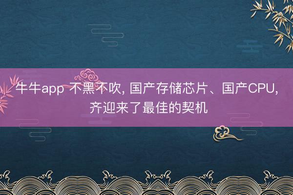 牛牛app 不黑不吹, 国产存储芯片、国产CPU, 齐迎来了最佳的契机
