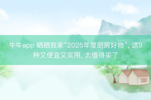 牛牛app 晒晒我家“2025年度厨房好物”, 这9种又便宜又实用, 太值得买了