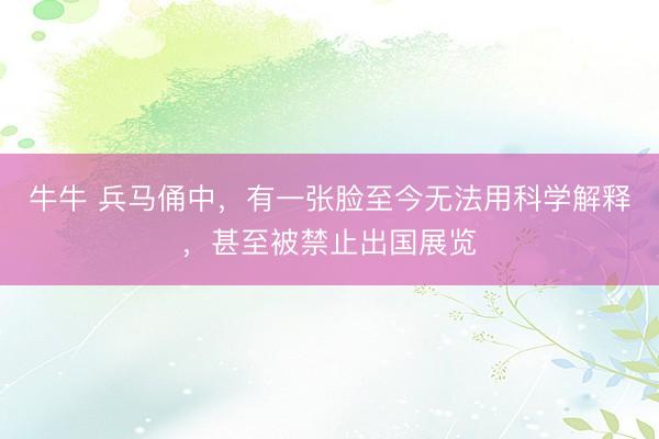 牛牛 兵马俑中，有一张脸至今无法用科学解释，甚至被禁止出国展览