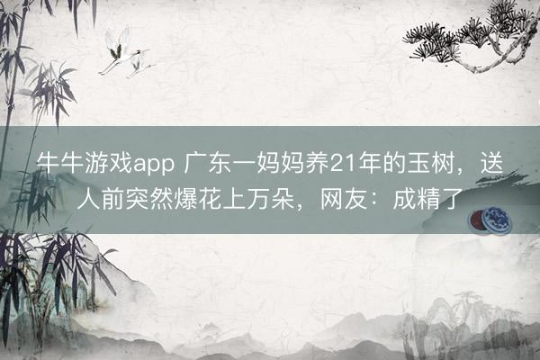 牛牛游戏app 广东一妈妈养21年的玉树，送人前突然爆花上万朵，网友：成精了
