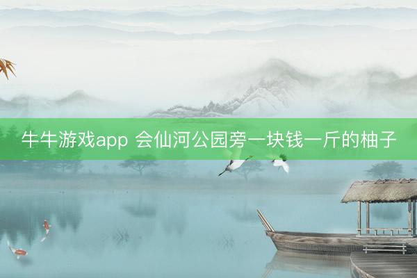 牛牛游戏app 会仙河公园旁一块钱一斤的柚子