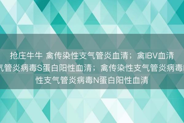 抢庄牛牛 禽传染性支气管炎血清；禽IBV血清；禽传染性支气管炎病毒S蛋白阳性血清；禽传染性支气管炎病毒N蛋白阳性血清