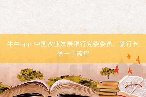 牛牛app 中国农业发展银行党委委员、副行长徐一丁被查