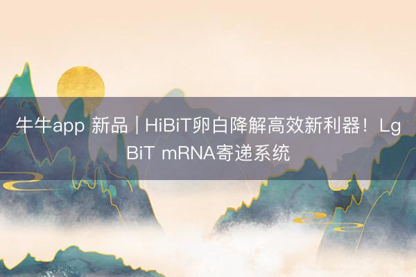 牛牛app 新品 | HiBiT卵白降解高效新利器！LgBiT mRNA寄递系统