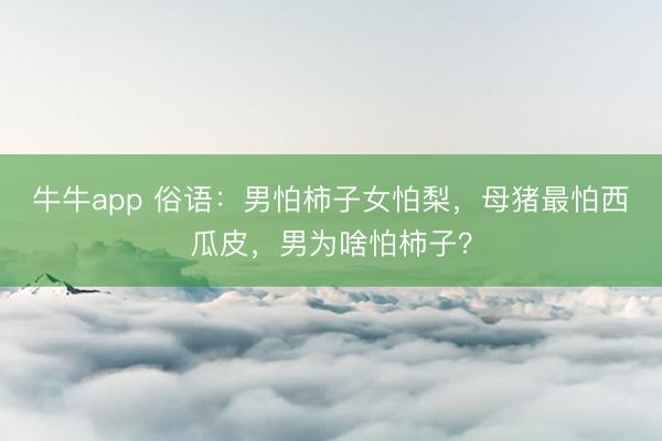 牛牛app 俗语：男怕柿子女怕梨，母猪最怕西瓜皮，男为啥怕柿子？