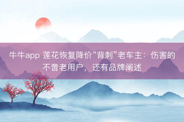 牛牛app 莲花恢复降价“背刺”老车主：伤害的不啻老用户，还有品牌阐述