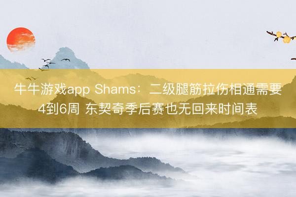 牛牛游戏app Shams：二级腿筋拉伤相通需要4到6周 东契奇季后赛也无回来时间表