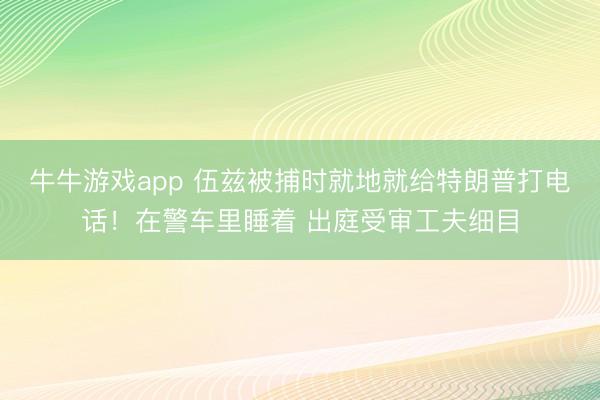 牛牛游戏app 伍兹被捕时就地就给特朗普打电话！在警车里睡着 出庭受审工夫细目