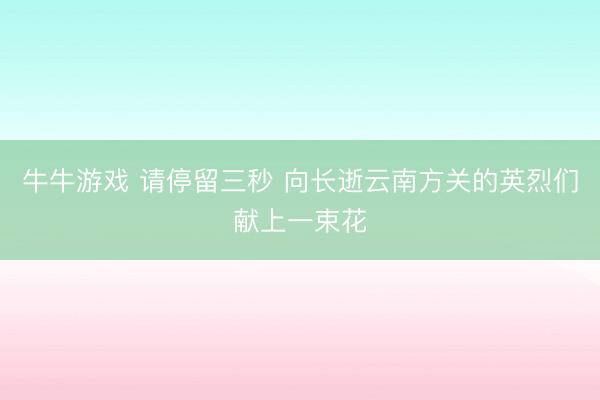 牛牛游戏 请停留三秒 向长逝云南方关的英烈们献上一束花