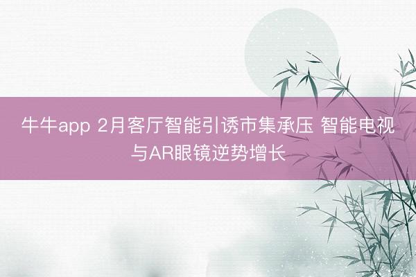 牛牛app 2月客厅智能引诱市集承压 智能电视与AR眼镜逆势增长