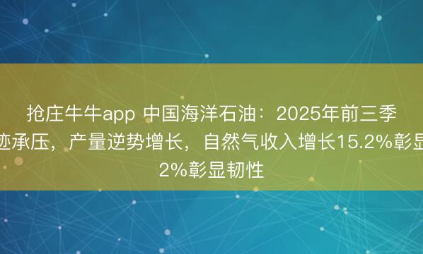 抢庄牛牛app 中国海洋石油：2025年前三季度事迹承压，产量逆势增长，自然气收入增长15.2%彰显韧性