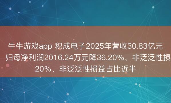 牛牛游戏app 积成电子2025年营收30.83亿元增18.66%，归母净利润2016.24万元降36.20%、非泛泛性损益占比近半