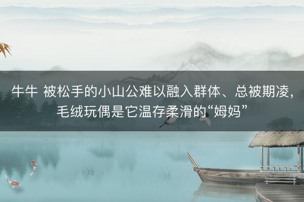 牛牛 被松手的小山公难以融入群体、总被期凌，毛绒玩偶是它温存柔滑的“姆妈”