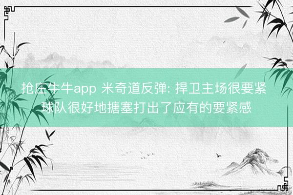 抢庄牛牛app 米奇道反弹: 捍卫主场很要紧 球队很好地搪塞打出了应有的要紧感