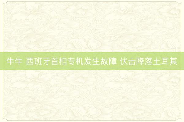 牛牛 西班牙首相专机发生故障 伏击降落土耳其