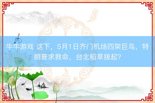 牛牛游戏 这下，5月1日齐门机场四架巨鸟，特朗普求救命，台北稻草拔起？