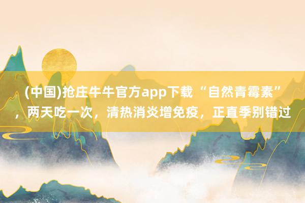 (中国)抢庄牛牛官方app下载 “自然青霉素”，两天吃一次，清热消炎增免疫，正直季别错过