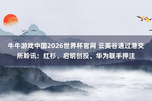 牛牛游戏中国2026世界杯官网 云英谷通过港交所聆讯：红杉、启明创投、华为联手押注