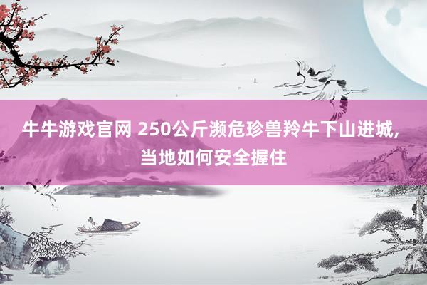 牛牛游戏官网 250公斤濒危珍兽羚牛下山进城， 当地如何安全握住