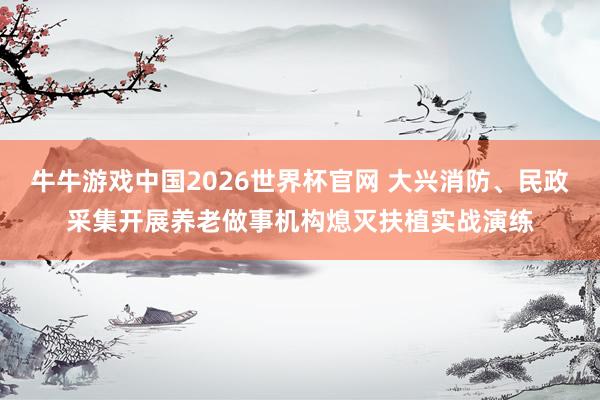 牛牛游戏中国2026世界杯官网 大兴消防、民政采集开展养老做事机构熄灭扶植实战演练