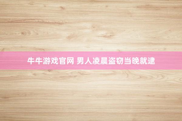 牛牛游戏官网 男人凌晨盗窃当晚就逮
