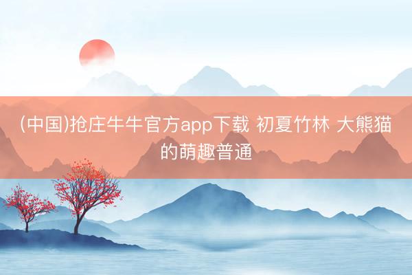 (中国)抢庄牛牛官方app下载 初夏竹林 大熊猫的萌趣普通
