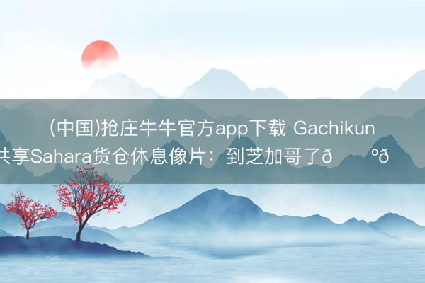 (中国)抢庄牛牛官方app下载 Gachikun共享Sahara货仓休息像片：到芝加哥了🇺🇸