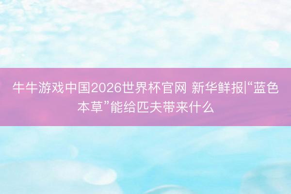 牛牛游戏中国2026世界杯官网 新华鲜报|“蓝色本草”能给匹夫带来什么