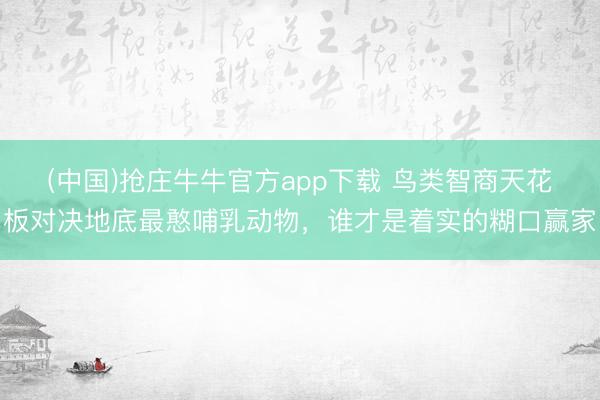 (中国)抢庄牛牛官方app下载 鸟类智商天花板对决地底最憨哺乳动物,谁才是着实的糊口赢家
