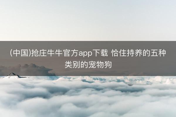 (中国)抢庄牛牛官方app下载 恰住持养的五种类别的宠物狗