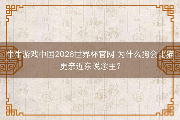 牛牛游戏中国2026世界杯官网 为什么狗会比猫更亲近东说念主?