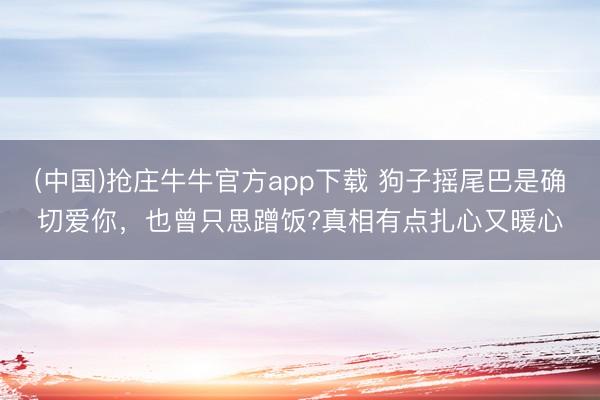 (中国)抢庄牛牛官方app下载 狗子摇尾巴是确切爱你，也曾只思蹭饭?真相有点扎心又暖心