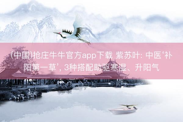 (中国)抢庄牛牛官方app下载 紫苏叶: 中医‘补阳第一草’， 3种搭配助驱寒湿、升阳气