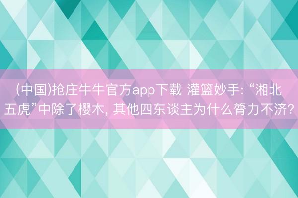 (中国)抢庄牛牛官方app下载 灌篮妙手: “湘北五虎”中除了樱木， 其他四东谈主为什么膂力不济?