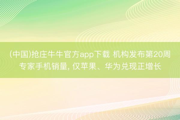 (中国)抢庄牛牛官方app下载 机构发布第20周专家手机销量， 仅苹果、华为兑现正增长
